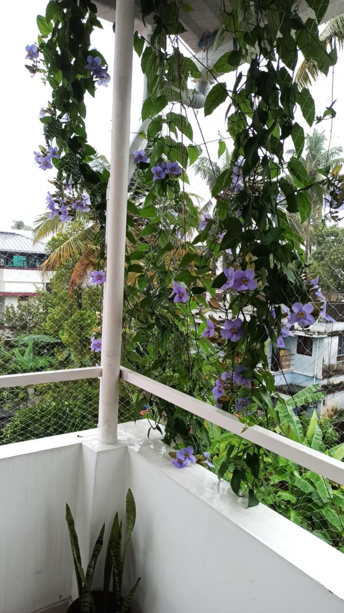Bethesda Inn Kochi Extérieur photo
